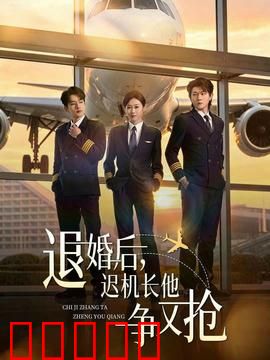 退婚后，迟机长他争又抢：追妻火葬场