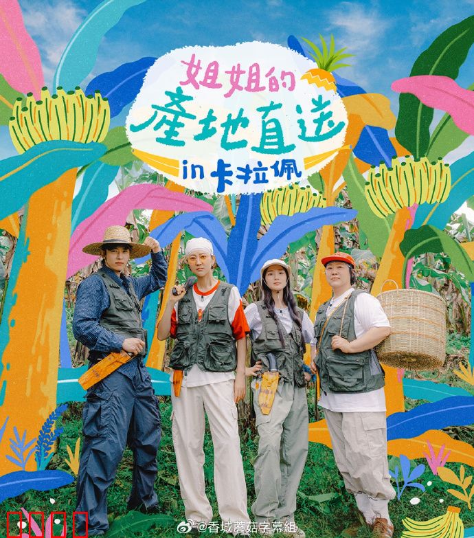 姐姐家的产地直送3：返乡寻根之旅
