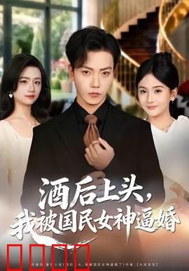 酒后上头，我被国民女神逼婚：爱情喜剧