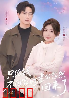 只给钱不回家的老公忽然回来了：豪门婚姻惊变
