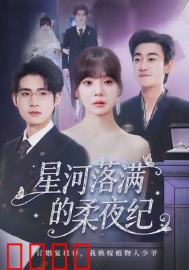 星河落满的柔夜纪：星海永恒之约