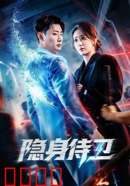 隐身侍卫：暗处守护者