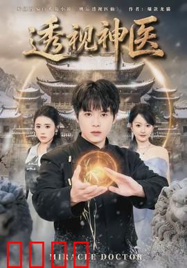 透视神医：神瞳医圣