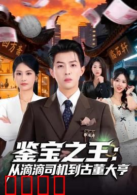 鉴宝之王：古玩界的终极对决