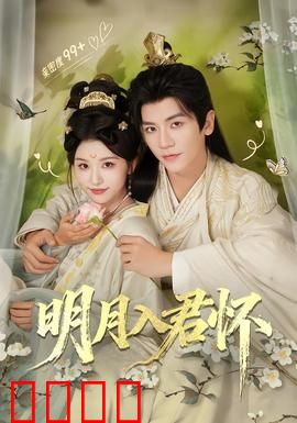 明月入君怀：迷雾中的重逢