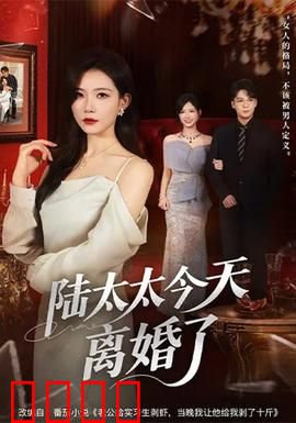 陆太太今天离婚了：霸气重生