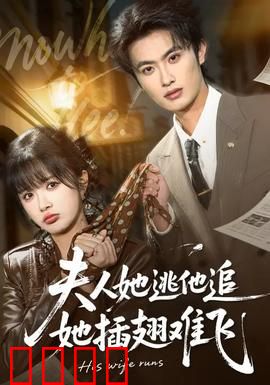 夫人她逃他追，她插翅难飞：霸道总裁的爱情游戏