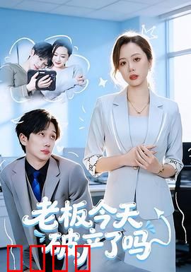 老板今天破产了吗：破产老板的绝地翻身