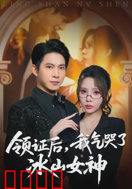 领证后，我气哭了冰山女神：婚后逆袭