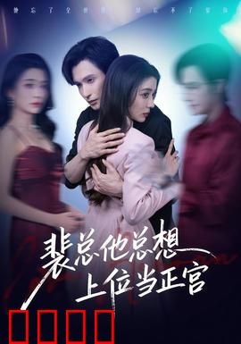 裴总他总上位当正宫：霸总追妻火葬场