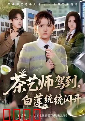 茶艺师驾到白莲统统闪开：茶道破局