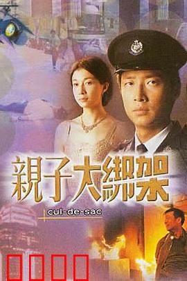 亲子大绑架粤语：父爱逆袭真相