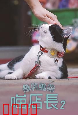 他和她的喵店长2：猫咪续写温情