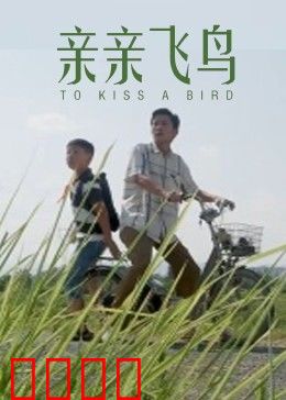 亲亲飞鸟：男孩与鸟的治愈之旅
