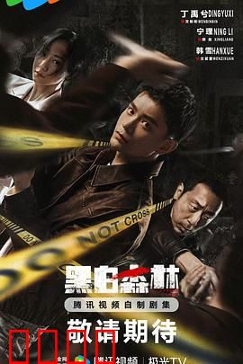 黑白森林2024：迷雾中的抉择