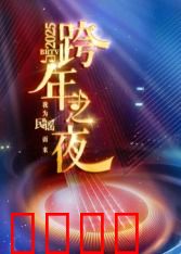 2025北京卫视跨年：星光璀璨迎新岁