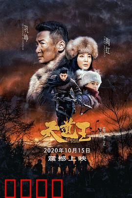 天道王：山林猎户抗倭传奇