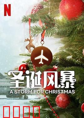 圣诞风暴：暴雪中的温暖