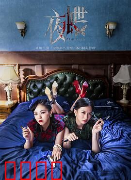夜蝶：暗夜舞者的复仇