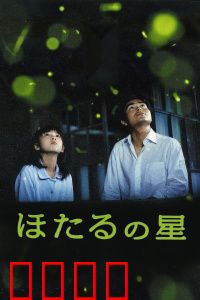 萤火虫之星：夏夜萤火中的奇迹