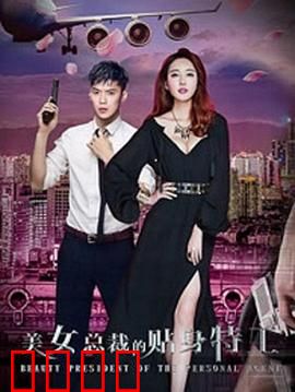 美女总裁的贴身特工：暗夜守护
