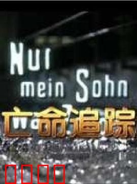 亡命追踪：绝命追逃