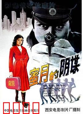 蜜月的阴谋：致命婚姻陷阱
