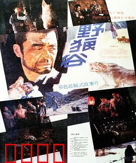 野狼谷：狼群复仇记