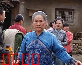 野茱萸：山村守望者