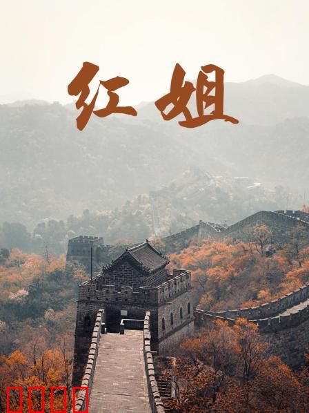 红姐2017：卧底女警生死劫
