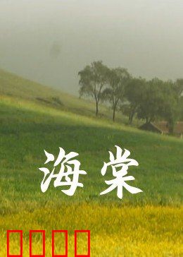 海棠：岁月无声