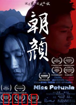 朝颜：绽放的青春