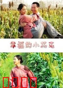 幸福的小杨屯：乡村振兴路