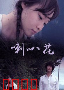 牵牛花：时光里的花语