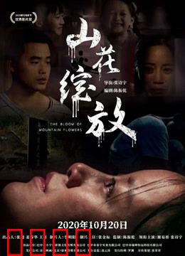 山花绽放：逆光飞翔