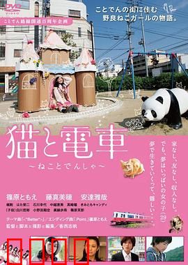 猫与电车：温暖的邂逅