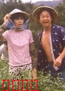 小美我爱你：错位时空的暗恋