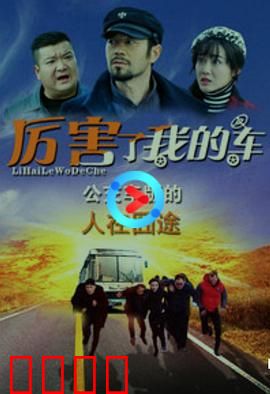 厉害了我的车：追梦之旅