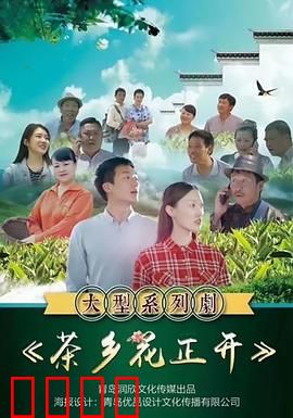 茶乡花正开：茶园里的青春恋歌