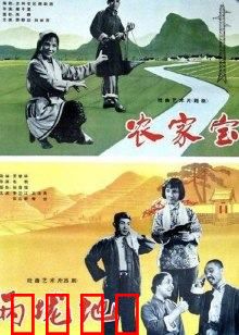 农家宝：农村致富故事