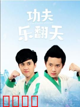 功夫乐翻天：笑中带泪的功夫梦
