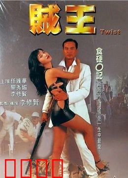 贼王 1995：惊天盗案