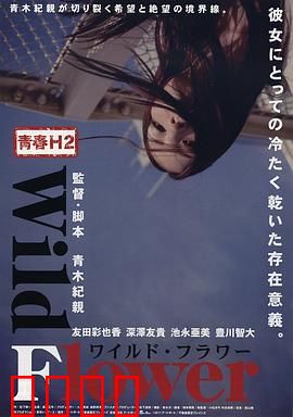 青春H2之狂野之花：野性青春