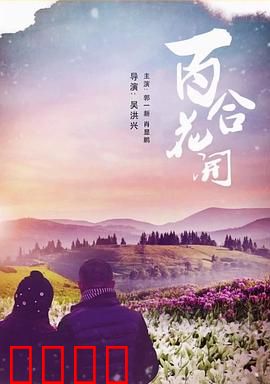 《百合花开》：纯爱之殇