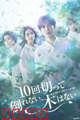 没有砍十次还不倒的树：愚公移山现代版