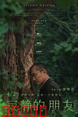 寂静的朋友：无声的陪伴